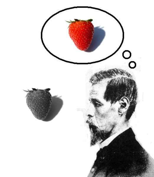 File:Qualia.png